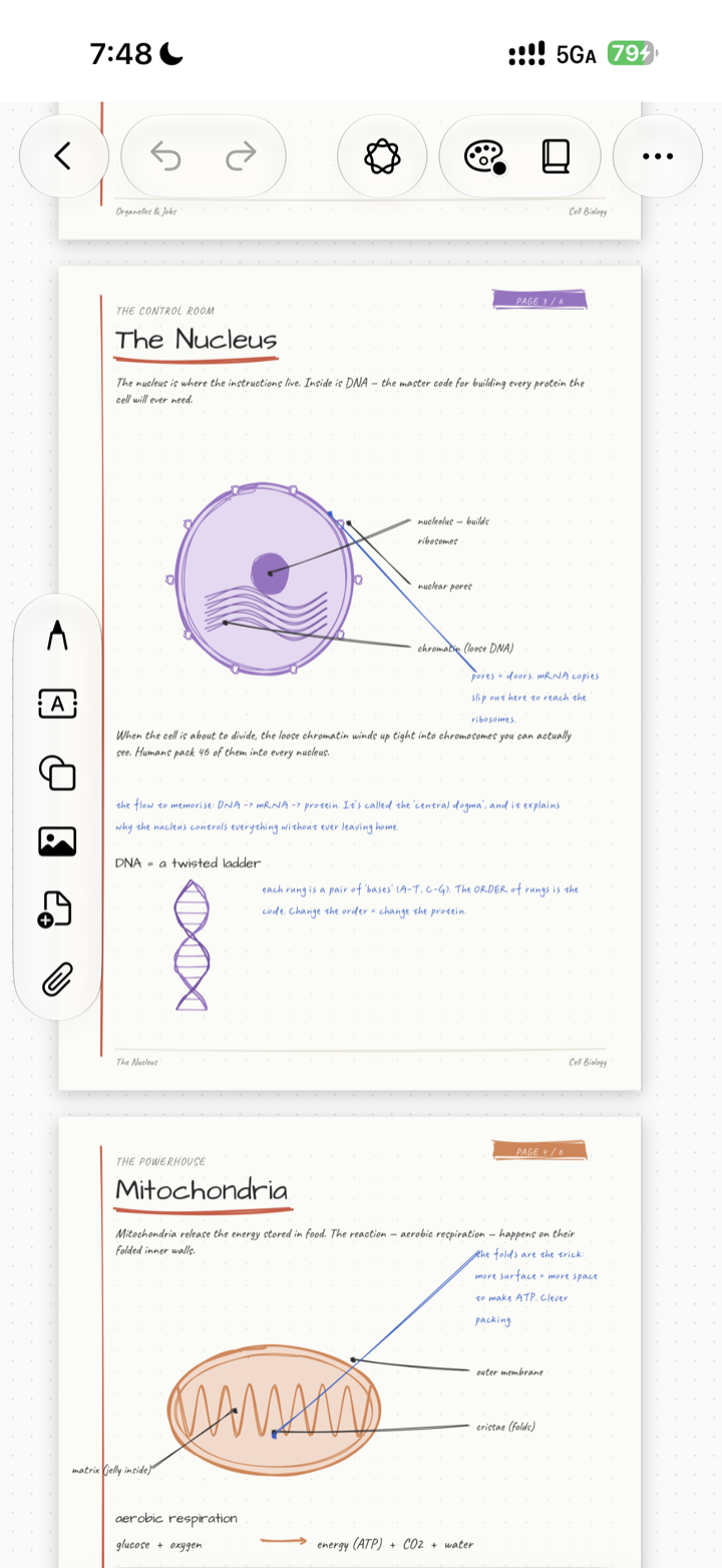 Notelix on iPhone