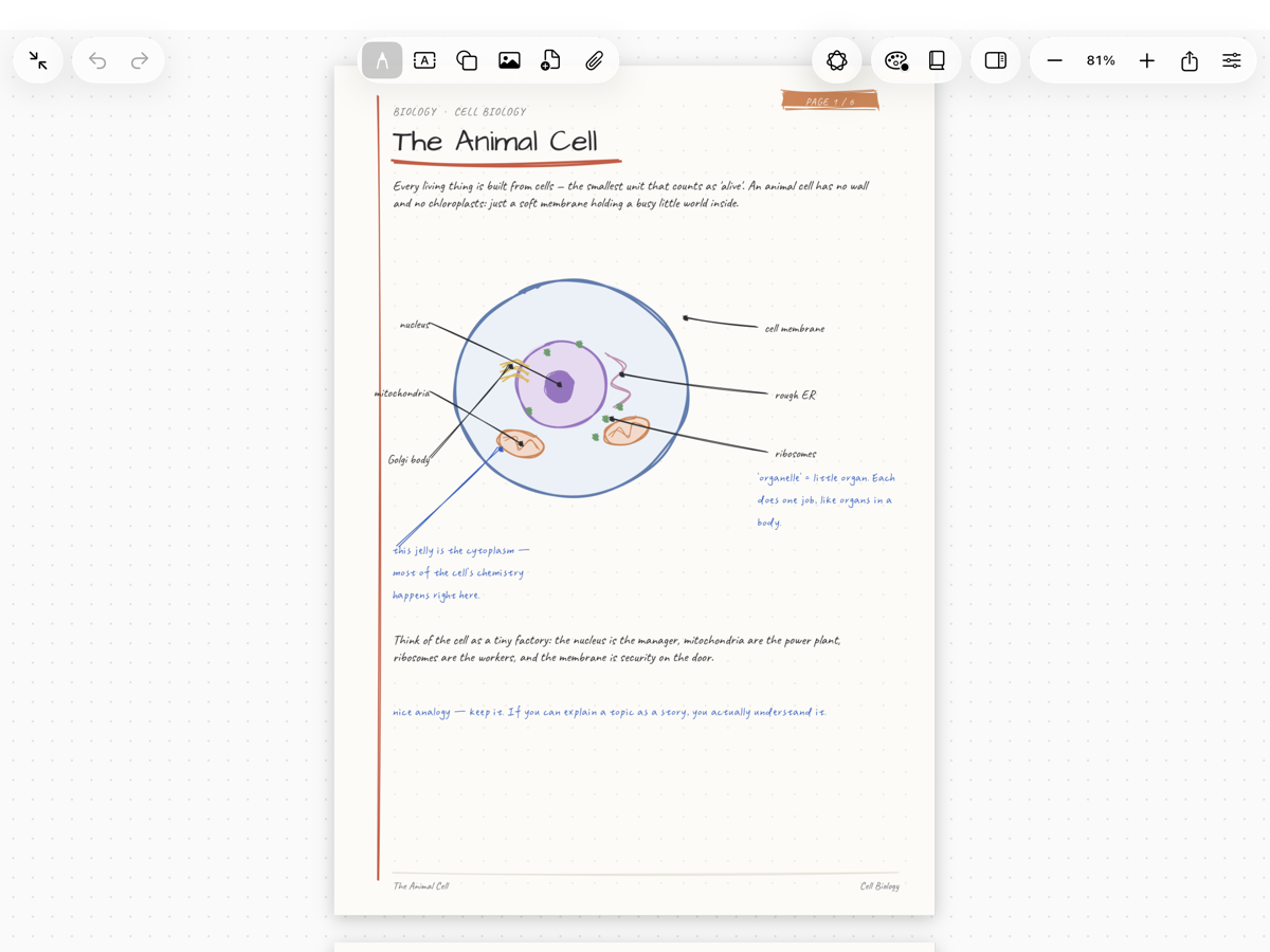 Notelix on iPad